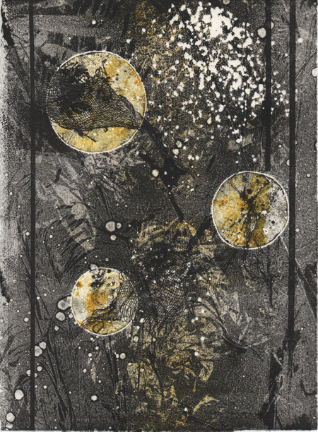 purse seine series